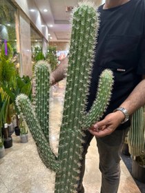 تصویر کاکتوس مصنوعی بزرگ 