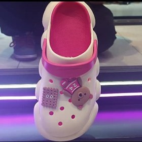 تصویر کراکس خرس و بیسکویت 