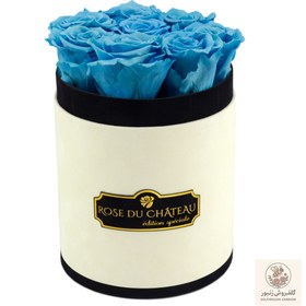 تصویر Sky Blue Eternal Roses in Coco Small Flocked Box | کد: ZNB-1IXM 