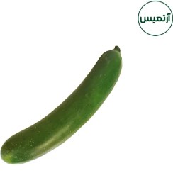 تصویر خیار مصنوعی 