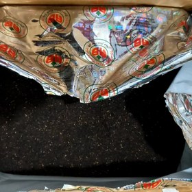 تصویر چای چکش سبز ۱ کیلوگرم 