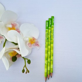 تصویر مداد مشکی فکتیس 