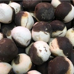 تصویر کشک و قارا ، کشک و قرقروت ، کشک دورنگ، کشک قرقروتی 