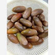 تصویر بلوط خوراکی زاگرس (ممتاز) 