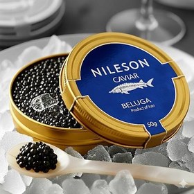 تصویر خاویار بلوگا نیلسون 