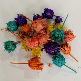 تصویر گل خشک فندقی چند رنگ 