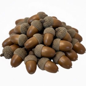 تصویر پک میوه تزیینی مدل بلوط دست‌چین زاگرس - 500 / قهوه‌ای سوخته / درشت 