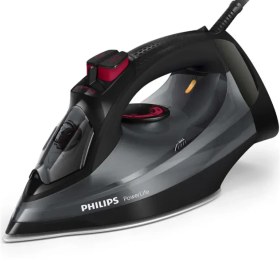 تصویر اتوبخار فیلیپس مدل GC2998/80 Philips GC2998/80 Steam Iron