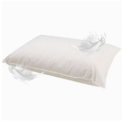 تصویر بالش مدل پر 2500 