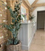 تصویر سفارش گیاه اکالیپتوس برای طراحی داخلی کافی‌شاپ‌ها 