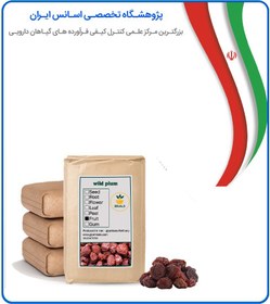 تصویر آلو جنگلی فله 