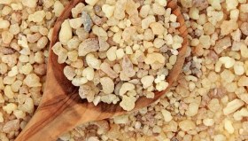 تصویر انغوزه زرد افغانی 