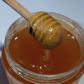 تصویر عسل طبیعی ارگانیک - 750 گرم HONEY