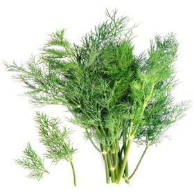 تصویر رازیانه یک کیلو 