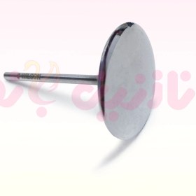 تصویر دیسک پدیکور کریشن سایز2 