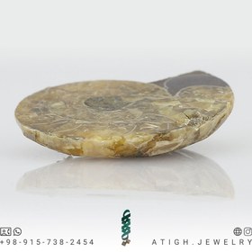 تصویر فسیل آمونیت (شاخ قوچی) طبیعی کلکسیونی منحصر به فرد با نقش و نگار بسیار زیبا درشت رنگ خاص دکوری- سنگ درمانی 