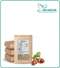 تصویر مغز بلوط خشک فله 