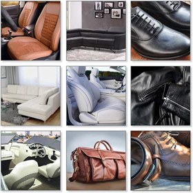 تصویر لاک محافظ و براق کننده چرم مایا مدل SHINER L حجم 250 میلی لیتر 