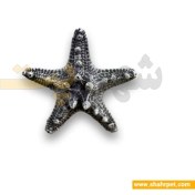 تصویر دکور پلی استر آکواریوم ستاره دریایی کوچک Aquarium Decoration Starfish