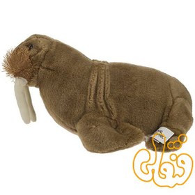 تصویر شیر دریایی Tricheco Medio NGS 770726 