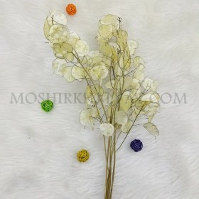 تصویر گل خشک مدل سکه ای 