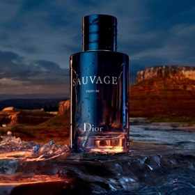 100ml SAUVAGE Dior eau de