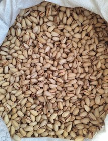 تصویر پسته سفید بادامی 