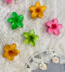 تصویر کلیپس مو زنانه مدل گل پلومریا 