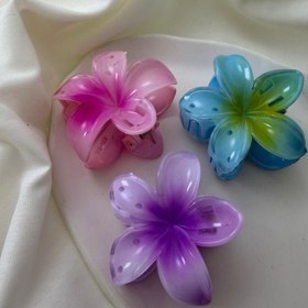 تصویر کلیپس پلومریا کد GH 