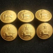 تصویر دکمه شیر و خورشید،توضیحات 