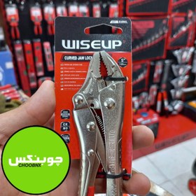 تصویر انبر قفلی سایز کوچک 5 اینچ 125 میلی متری wiseup 