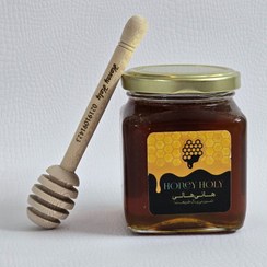 تصویر عسل طبیعی وحشی - 300 گرم 