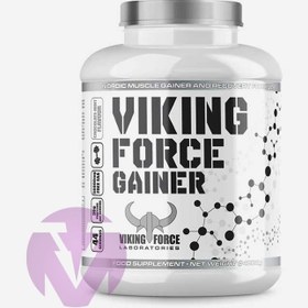 تصویر فورس گینر وایکینگ ۴ کیلویی | Viking Force Gainer 