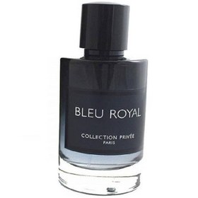 خرید و قیمت عطر ادکلن جی پارلیس بلو رویال ا geparlys bleu royal