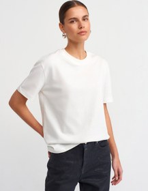 تصویر تیشرت بیسیک basic ترک دیلوین dilvin basic