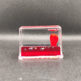 تصویر شناور مینیاتوری 