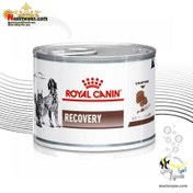 تصویر کنسرو ریکاوری رویال کنین سگ و گربه 195 گرم Royal Canin Recovery for Cats & Dogs 195g