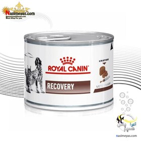 تصویر کنسرو ریکاوری رویال کنین سگ و گربه 195 گرم Royal Canin Recovery for Cats & Dogs 195g