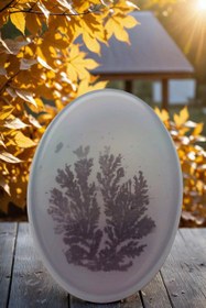 تصویر نگین عقیق شجر کد ۷۰۶ 