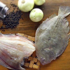 تصویر ماهی مزلک 