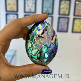 تصویر صدف آبالون 