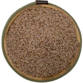 تصویر اسفرزه هندی 