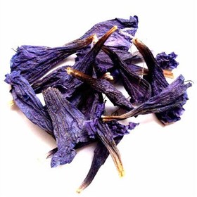 تصویر گل گاوزبان 