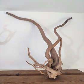 تصویر چوب آبنوس آکواریوم کد 4 