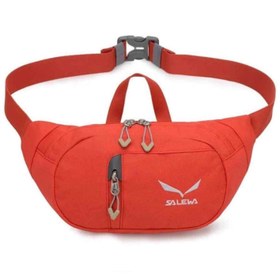 تصویر کیف کمری سالیوا مدل 4560 