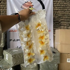 تصویر کلیپس پلومریا 8 سانتی 