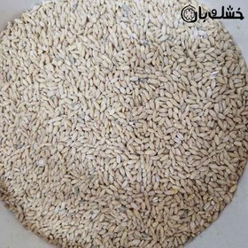 تصویر جو پوست کنده 