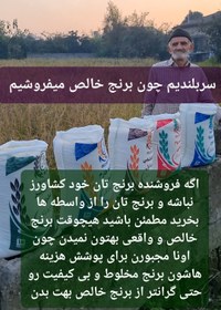 تصویر برنج کشت دوم طارم هاشمی عطری وزن خالص ۶۰ کیلوگرم + ارسال رایگان تا درب منزل 