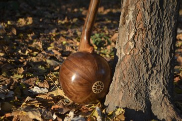 تصویر کمانچه حیدری الگوی امیر عطایی 