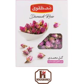 تصویر غنچه گل محمدی 60 گرمی مصطفوی 